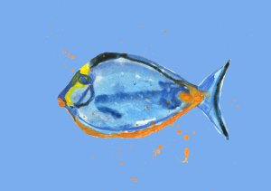 Fish tropical blue lagoon sky