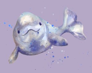 whale copy v