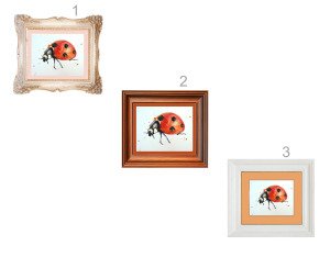 ladybug poll