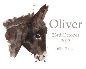 donkey baby etsy