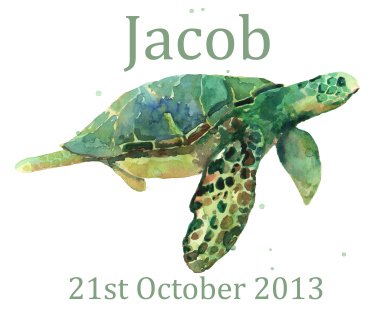Seaturtle baby birth