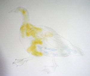 P1140134