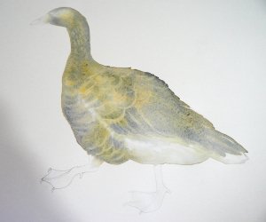 P1140136