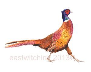 pheasant etsy