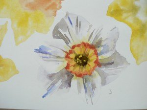 P1150655